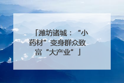 潍坊诸城：“小药材”变身群众致富“大产业”