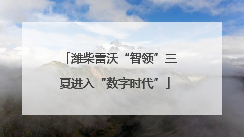 潍柴雷沃“智领”三夏进入“数字时代”