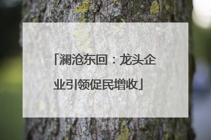 澜沧东回：龙头企业引领促民增收