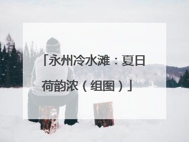 永州冷水滩：夏日荷韵浓（组图）