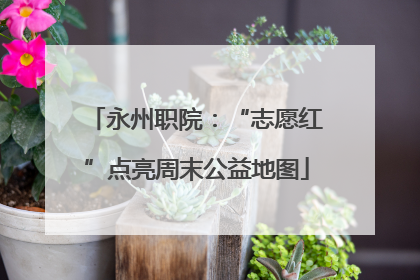 永州职院：“志愿红”点亮周末公益地图