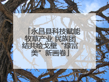 永昌县科技赋能牧草产业 民族团结共绘戈壁“绿富美”新画卷