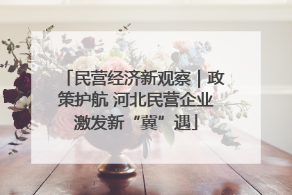 民营经济新观察｜政策护航 河北民营企业激发新“冀”遇