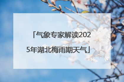 气象专家解读2025年湖北梅雨期天气