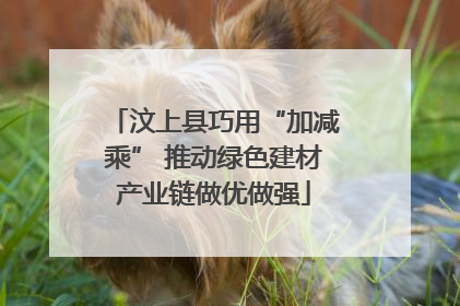 汶上县巧用“加减乘” 推动绿色建材产业链做优做强