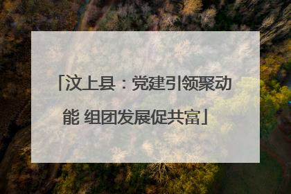 汶上县：党建引领聚动能 组团发展促共富