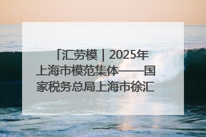 汇劳模｜2025年上海市模范集体——国家税务总局上海市徐汇区税务局第一税务所
