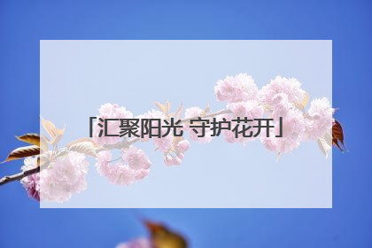 汇聚阳光 守护花开