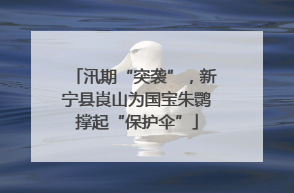 汛期“突袭”，新宁县崀山为国宝朱鹮撑起“保护伞”