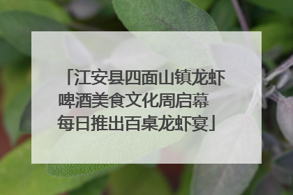 江安县四面山镇龙虾啤酒美食文化周启幕 每日推出百桌龙虾宴