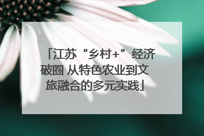 江苏“乡村+”经济破圈 从特色农业到文旅融合的多元实践