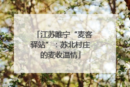 江苏睢宁“麦客驿站”：苏北村庄的麦收温情