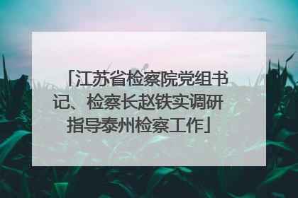 江苏省检察院党组书记、检察长赵铁实调研指导泰州检察工作