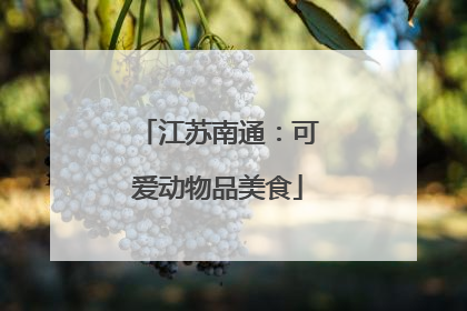 江苏南通:可爱动物品美食