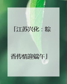 江苏兴化：粽香传情迎端午