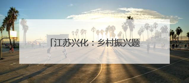 江苏兴化：乡村振兴题材现代淮剧《油菜花开燕归来》在南京成功首演