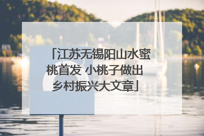 江苏无锡阳山水蜜桃首发 小桃子做出乡村振兴大文章