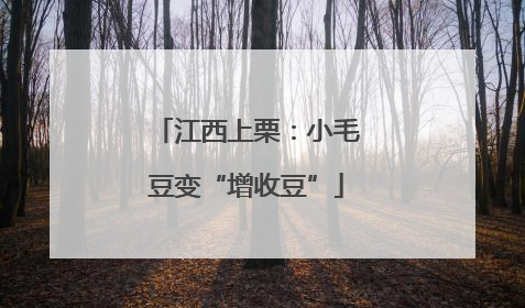 江西上栗：小毛豆变“增收豆”