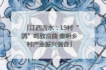 江西吉水：19村“鸽”鸣致富曲 奏响乡村产业振兴强音