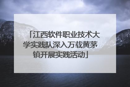 江西软件职业技术大学实践队深入万载黄茅镇开展实践活动
