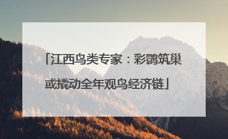 江西鸟类专家：彩鹮筑巢或撬动全年观鸟经济链