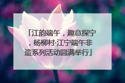 江韵端午，趣意探宁，杨柳村·江宁端午非遗系列活动圆满举行