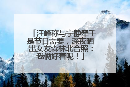 汪峰称与宁静牵手是节目需要，深夜晒出女友森林北合照：我俩好着呢！