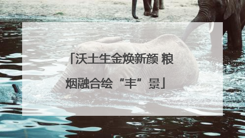 沃土生金焕新颜 粮烟融合绘“丰”景