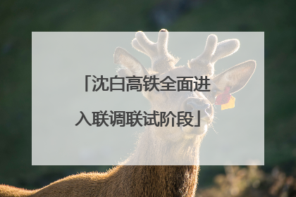 沈白高铁全面进入联调联试阶段