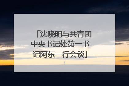 沈晓明与共青团中央书记处第一书记阿东一行会谈