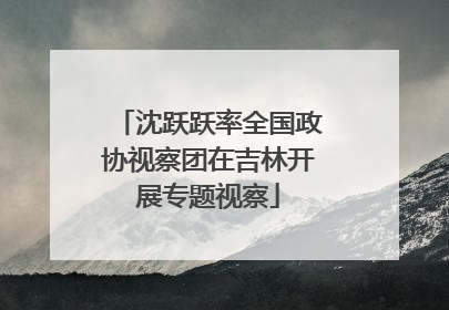 沈跃跃率全国政协视察团在吉林开展专题视察
