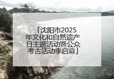 沈阳市2025年文化和自然遗产日主题活动暨公众考古活动季启幕