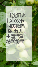 沈阳老北市双节同庆掀热潮 五大主题活动精彩纷呈