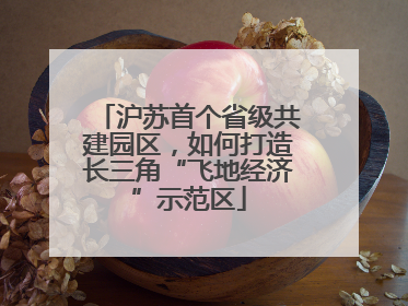 沪苏首个省级共建园区，如何打造长三角“飞地经济”示范区