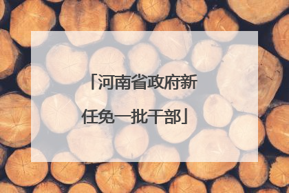 河南省政府新任免一批干部