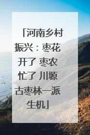 河南乡村振兴：枣花开了 枣农忙了 川塬古枣林一派生机