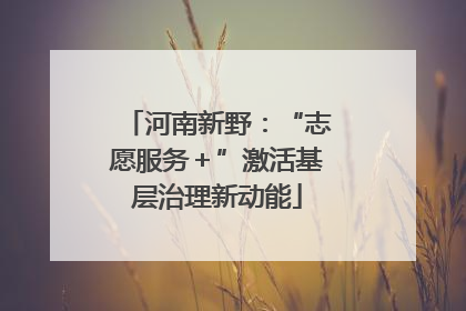 河南新野：“志愿服务＋”激活基层治理新动能
