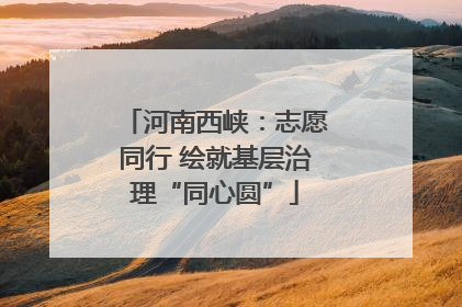 河南西峡：志愿同行 绘就基层治理“同心圆”