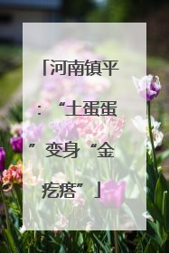 河南镇平：“土蛋蛋”变身“金疙瘩”