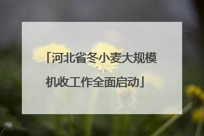 河北省冬小麦大规模机收工作全面启动