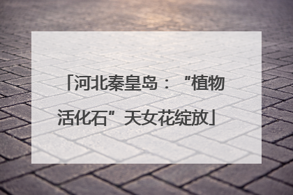 河北秦皇岛：“植物活化石”天女花绽放