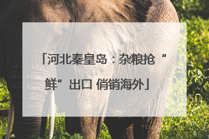 河北秦皇岛：杂粮抢“鲜”出口 俏销海外