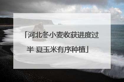 河北冬小麦收获进度过半 夏玉米有序种植