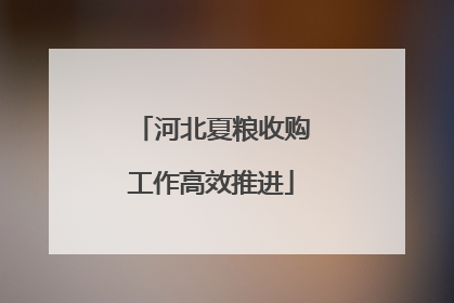 河北夏粮收购工作高效推进