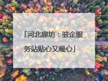 河北廊坊：驻企服务站贴心又暖心