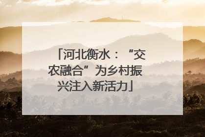 河北衡水：“交农融合”为乡村振兴注入新活力
