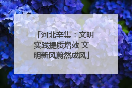 河北辛集：文明实践提质增效 文明新风蔚然成风