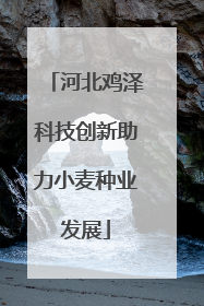 河北鸡泽科技创新助力小麦种业发展