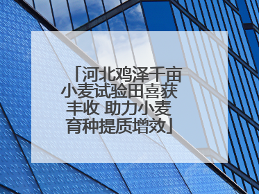 河北鸡泽千亩小麦试验田喜获丰收 助力小麦育种提质增效