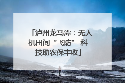 泸州龙马潭：无人机田间“飞防” 科技助农保丰收